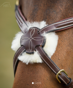 Alternative view of HFI Hoofdstel mexicaans