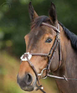 HFI Hoofdstel mexicaans