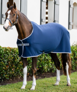 Horseware Amigo Jersey Cooler