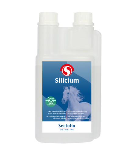 Sectolin Silicium