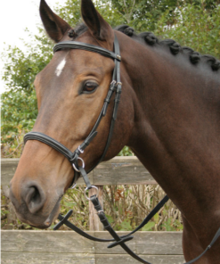 Harry's Horse Hoofdstel Bitloos Kaakgekruist
