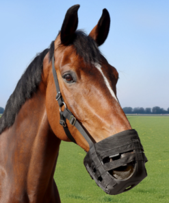 Alternative view of Harry's Horse Graasmasker Grazing muzzle Air