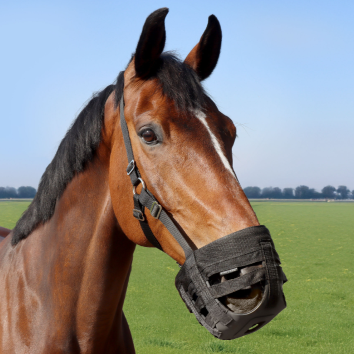 Harry's Horse Graasmasker Grazing muzzle Air - Afbeelding 2