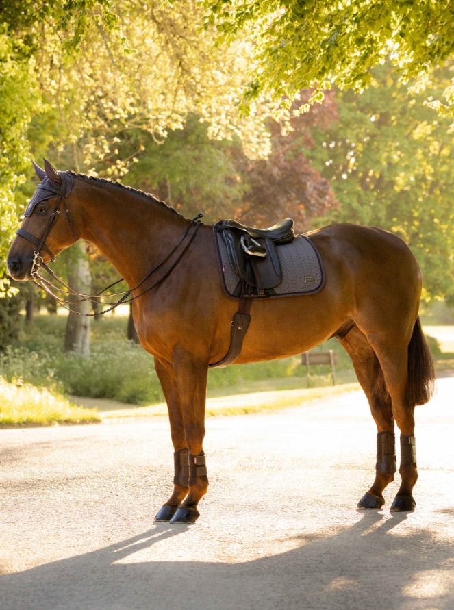 AW26 LeMieux Heritage Herringbone Dressage Square - Afbeelding 2