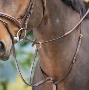 HFI Martingaal met ringen