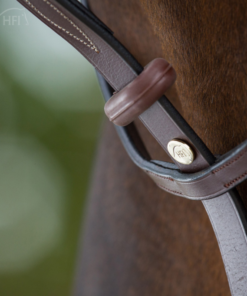 Alternative view of HFI Martingaal met ringen